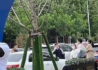 建業(yè)花園里朗岸
