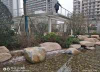 大正水晶森林