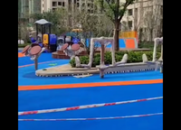 朗悅公園府