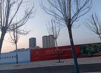 春江觀瀾