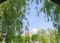 普羅理想國