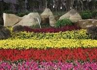 融信奧體世紀(jì)