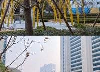 保利天匯