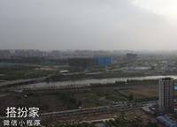 永威森林花語