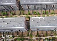 永威森林花語