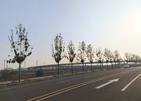 鄭州地產(chǎn)管城區(qū)大王莊儲備用地