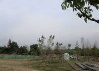 新田城