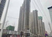 美盛金水印