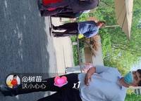 美景芳菲