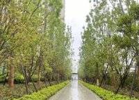富田城九鼎公館