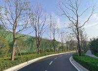 保利縵城和頌