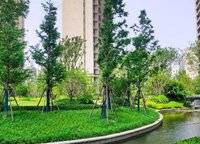 康橋那云溪