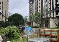 龍湖天宸原著