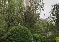 富田城九鼎公館