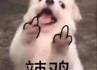 龍湖熙上