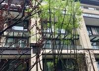 龍湖天宸原著